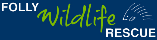 Folly Wildlife Rescue