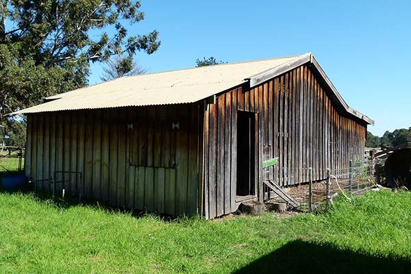 Sheds